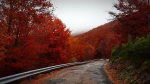 autumn road with juno conjunct psyche synastry